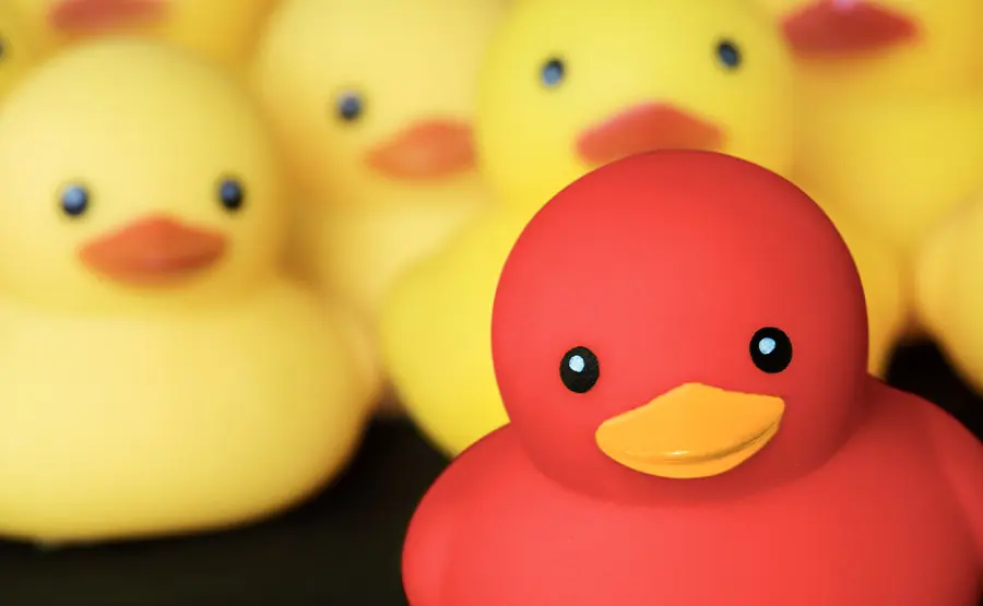 A group of rubber ducks against a black background, perfect for web design in Essex.